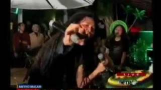 Download Lagu ANAK PANTAI (REGGAE) MP3