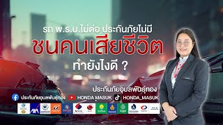 ขับรถชนคนตาย รถไม่มี พ.ร.บ. ประกันภัยไม่ได้ซื้อ ทำยังไงดี ? |ประกันภัยอุบลพันธุ์ทอง| Honda MASUK