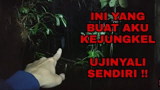 Challenge Nyari Talenan Di Tempat Widi Di Tarikk ft Widi cah mancing dan mister komeng