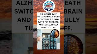 SCIENTISTS JUST DISCOVERED A HIDDEN ALZHEIMER'S 'DEATH SWITCH' IN THE BRAIN AND SUCCESSFULLY TURNED