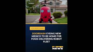 DoorDash eyeing New Mexico to be home for food-delivering robot fleet