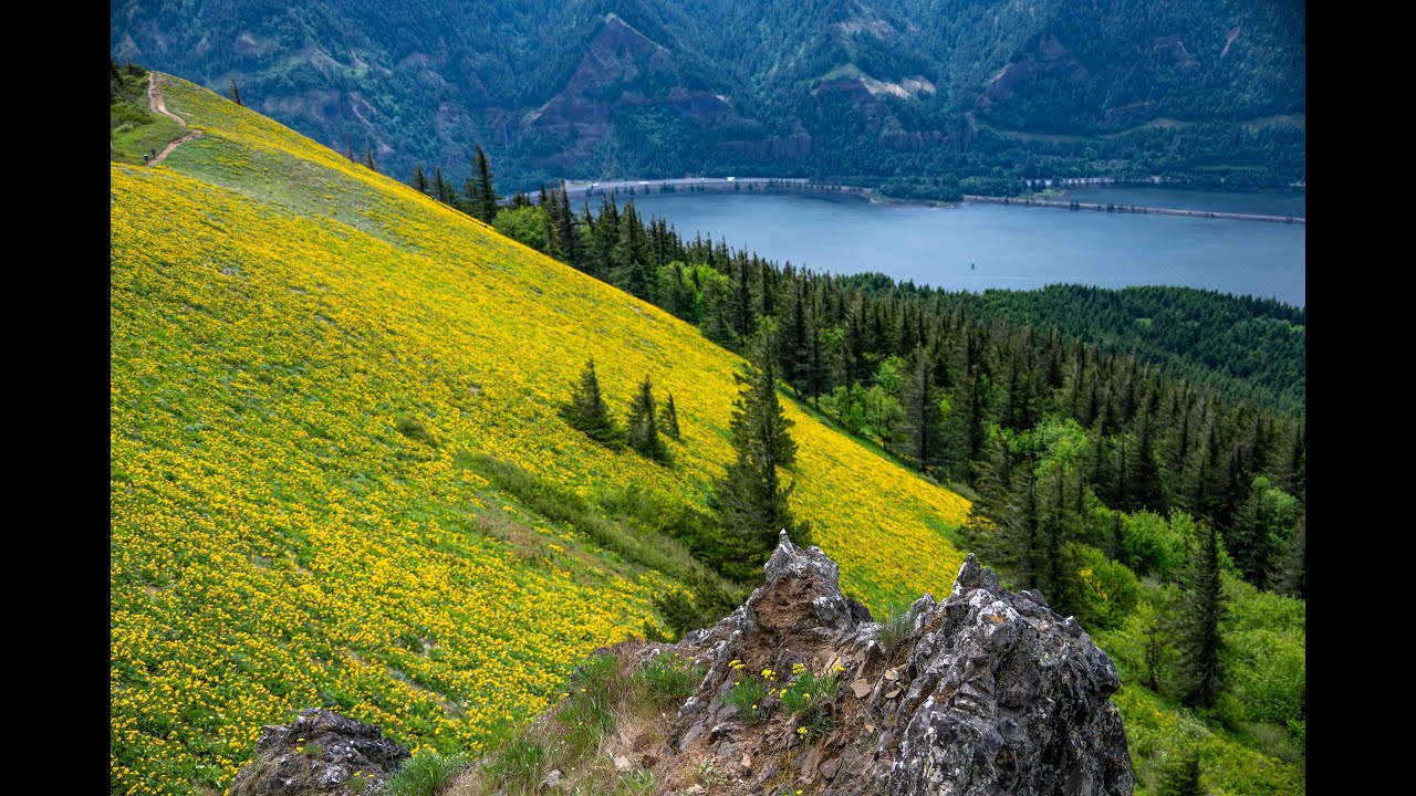 Dog Mountain Trail, Columbia River Gorge National Scenic Area, Carson ...