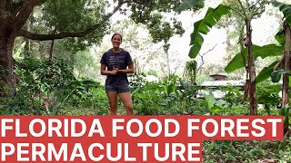 Florida Food Forest Tour By Expert Permaculture Instructor