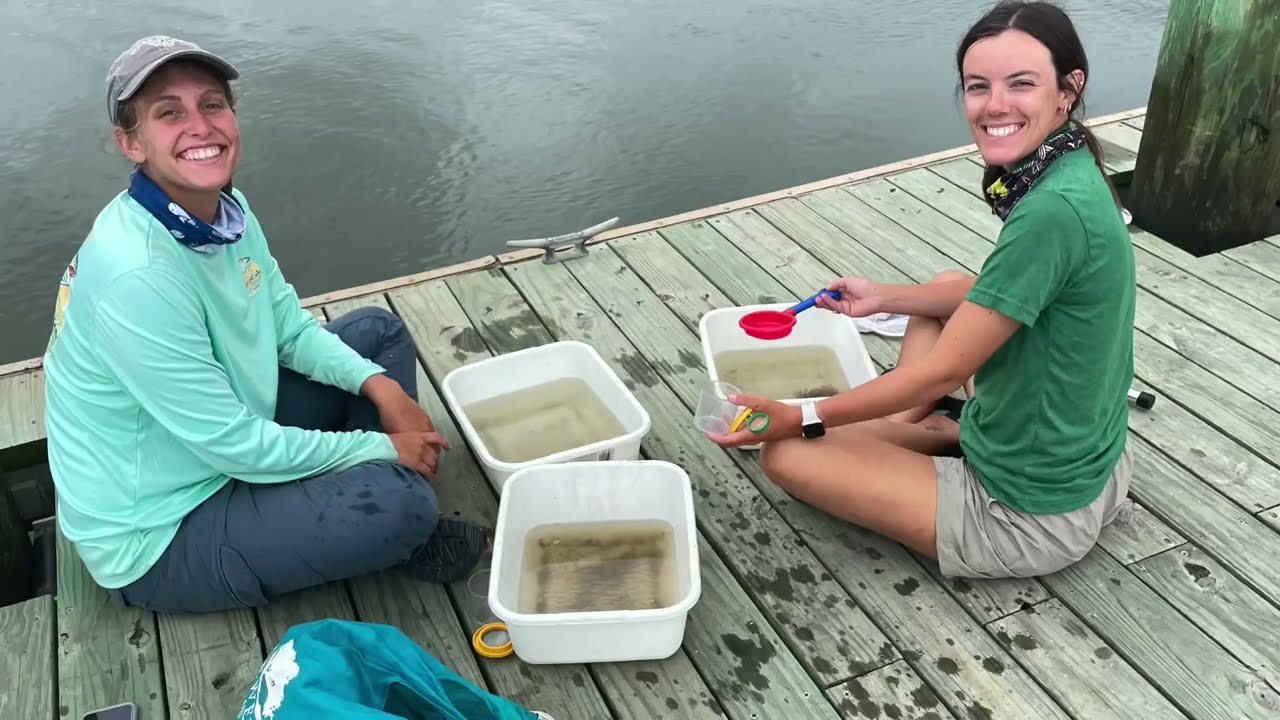 Dewees Island Interns 2022