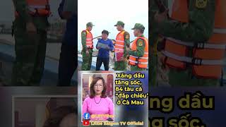 Little Saigon TV Official