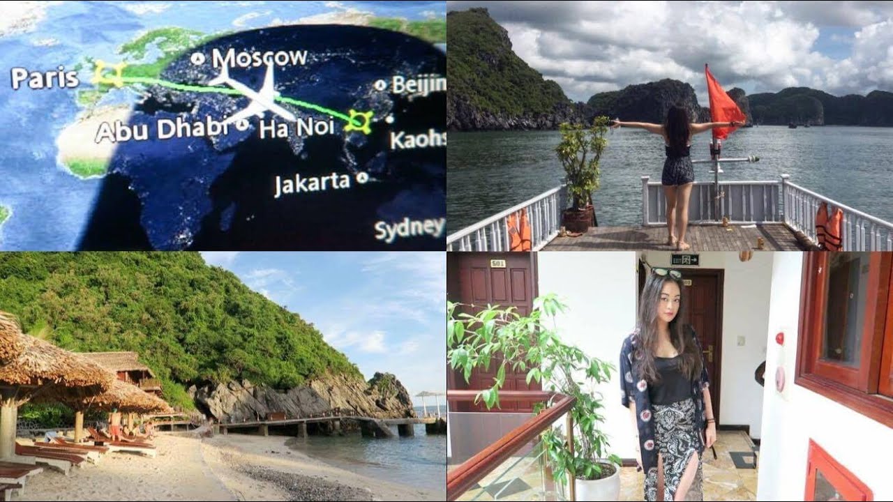 J'aime pas les cafards géants