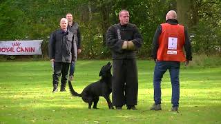 Dutch K9 dog MC stick attack exercise during KNPV trial PH1 2019