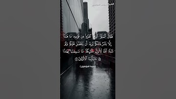 سورة المؤمنون من  آية 23 إلى آية 25 بصوت الشيخ ياسر الدوسري♥♥