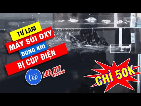 Video Chế máy sủi oxy mini cho cá . dùng khi bị cúp điện |... - youtube