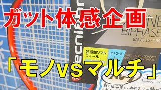 【２種類のガット体感イベント】モノvsマルチ！！GOSEN張人が企画