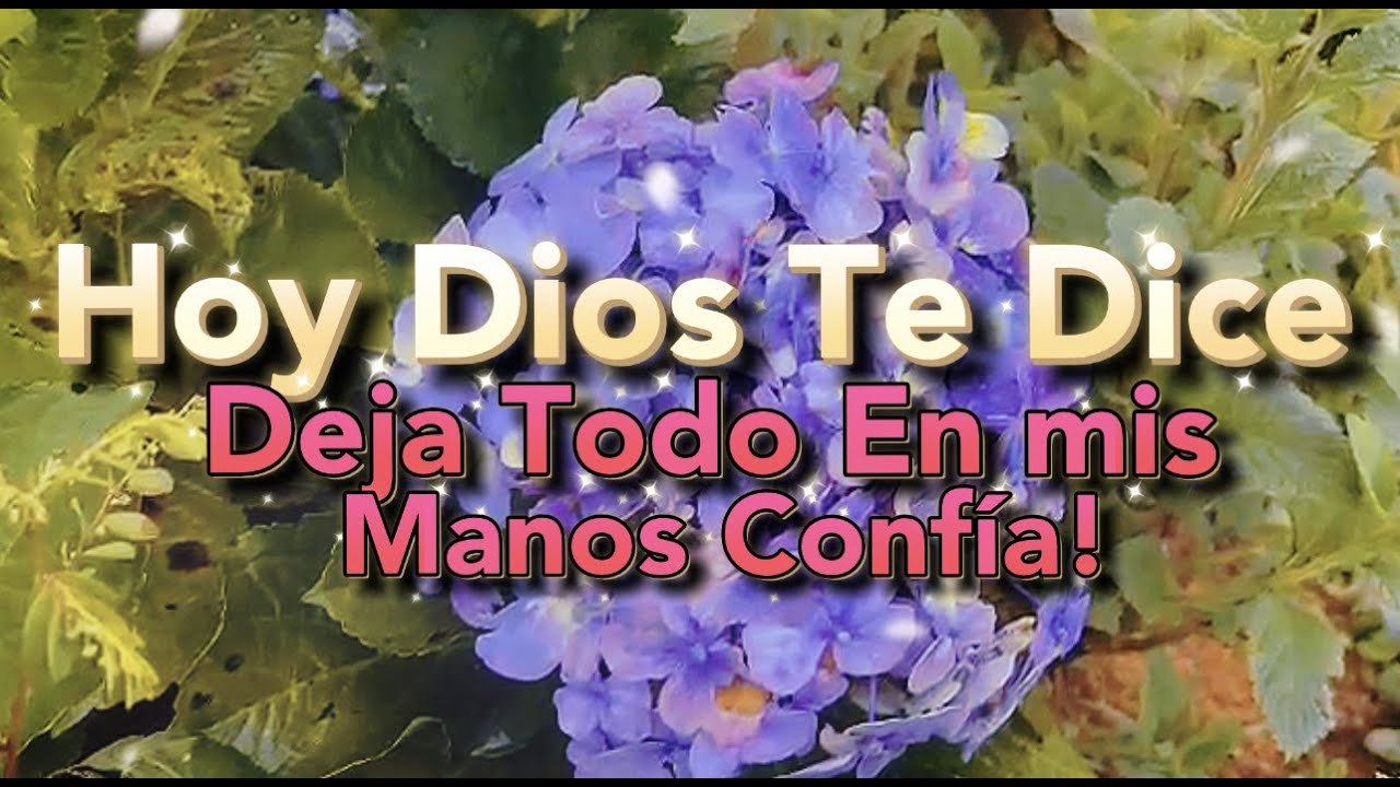 Hoy Dios te dice Deja todo en mis manos Confia en mis promesas Este ...