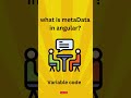 what is metadata?
