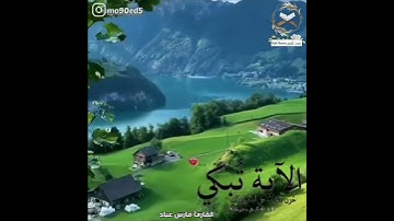 (قال إنما أشكو بثي وحزني الى الله) القارئ فارس عباد حالات واتس قرآن کريم | سورة يوسف تلاوة خاشعه