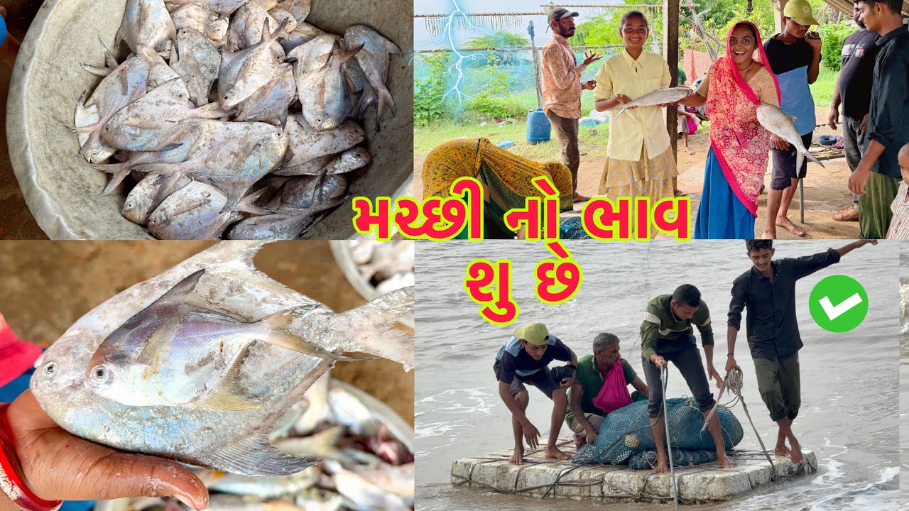 બધાય કરતા અમારે મચ્છી નો ભાવ વધારે 🐠 🪙 fish price 💵 dariyai khedut@desirasoikathiyawadi 
