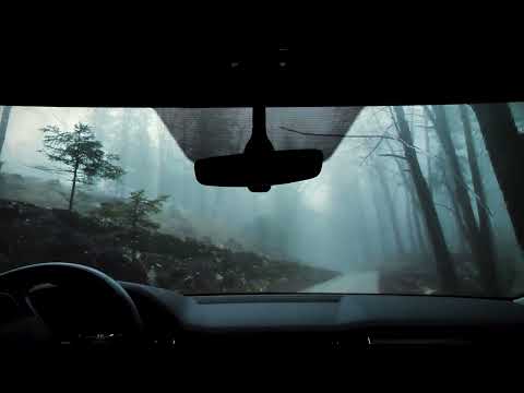 Mystic Forest and Rain Virtual Drive / Immersive Dark Forest Ambiance to Relax and Sleep (No Music)