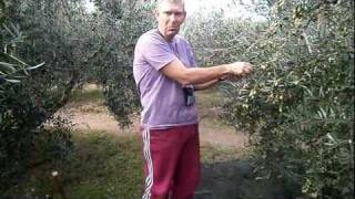 PC100004.AVI