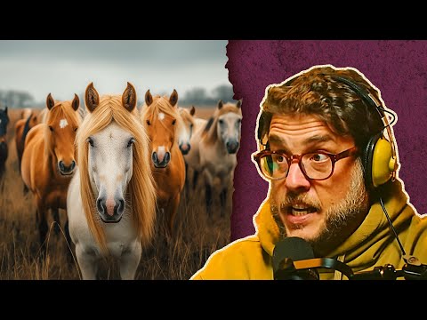 CABALLOS PRESTADOS
