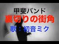 【初音ミク】甲斐バンド「裏切りの街角」 弾語り風【カバー】 ギター伴奏