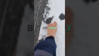 Walking Barefoot in Ice: My Feet Are STRONGER Now! #BarefootWalk #WinterJourney #IceWalking