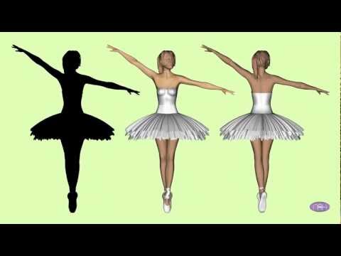 This video showes a spinning dancer (or any silhouette)  can rotate both ways.