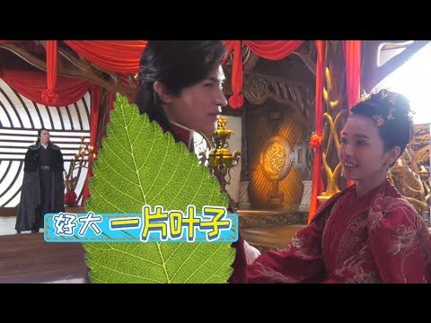 齐灵云如愿嫁给的心上人竟不是白师兄本人？