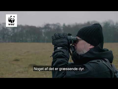 Videobillede: Naturnationalparker