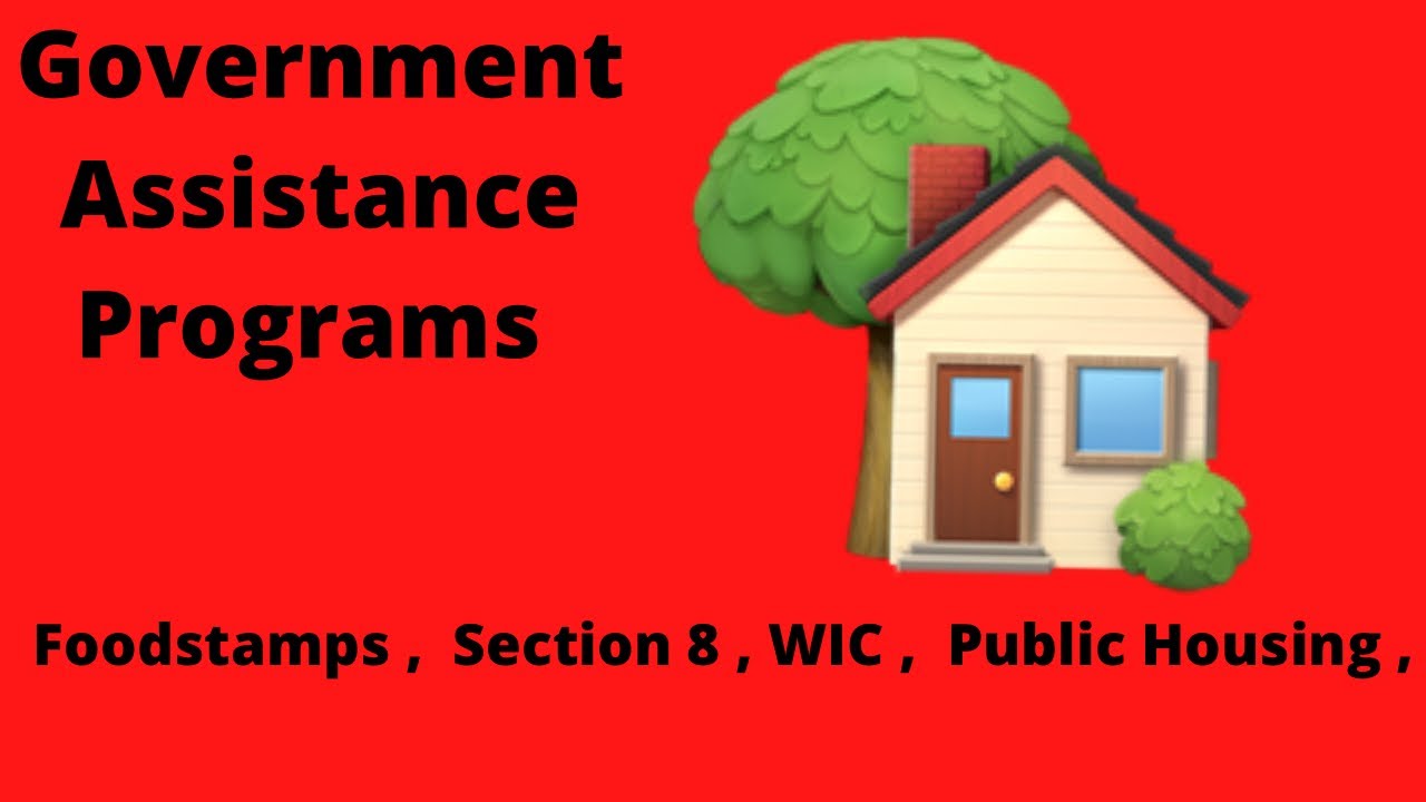 Government Assistance Program ! YouTube