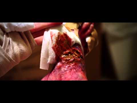 Trailer-Vorschau zu Eat - Ich hab mich zum Fressen gern