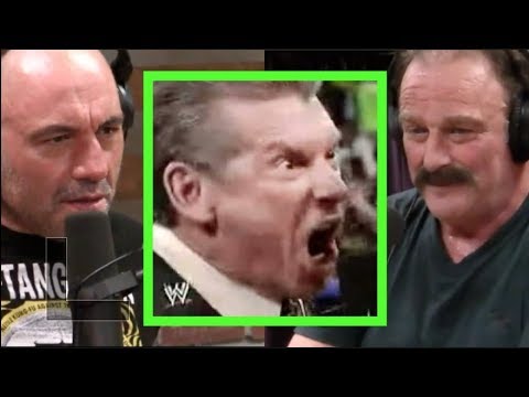 Joe Rogan & Jake The Snake on Vince McMahon - YouTube.