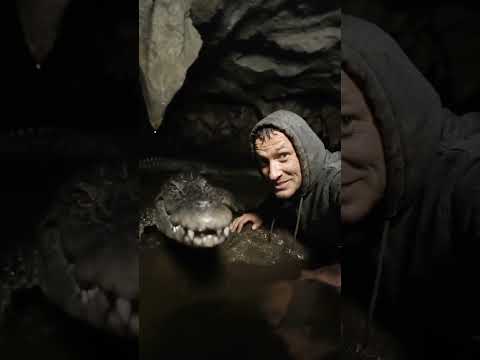 🌊 Крокодилы Видят Всё: Под Водой и в Темноте! 👀 #крокодилы #crocodile #животные #крокодил