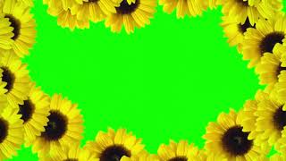 Green Screen Transitions Flowers - Переходы Цветы Хромакей