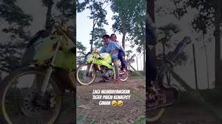 Download Lagu Lagi bayangin Tiger Revo pakai kenalpot ginian haha #viral #viralvideo #jamet #vijartongkrongan MP3