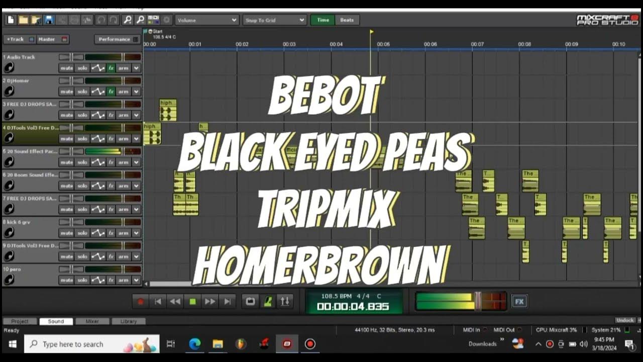 Bebot Black Eyed Peas Tripmix. Homerbrown YouTube