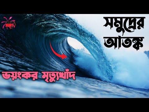 ভিডিও: গ্যাডফ্লাই মানে কি?