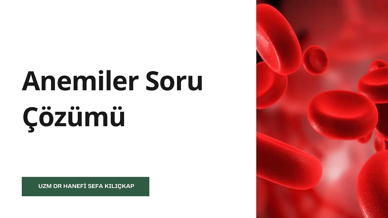 Anemiler Konusuyla İlgili Soru Çözümü