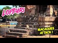  lopburi  la ville des singes  thailande thalande vlog voyage asie djipocket3