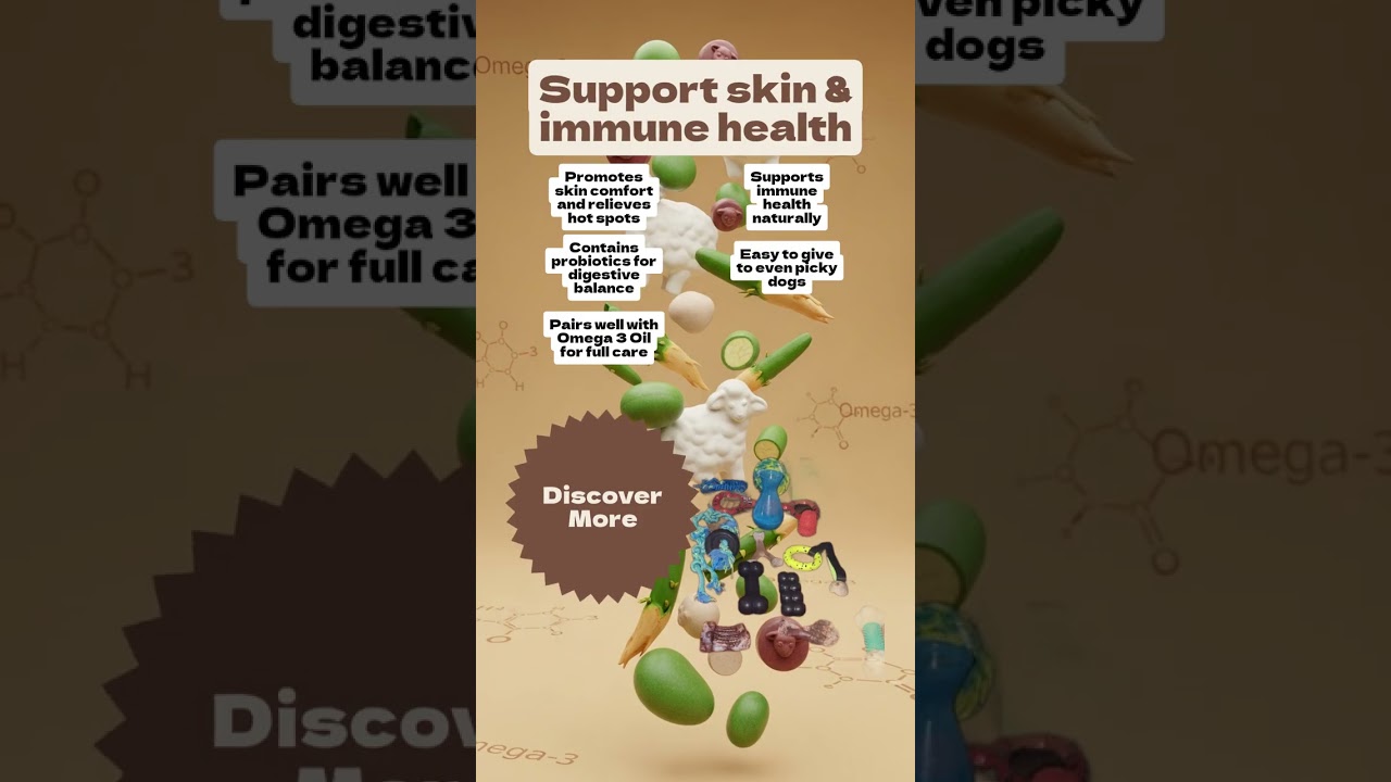 Allergy Relief for Dogs