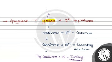 The pyramid of number in grassland ecosystem is: (a) Linear (b) Inv...