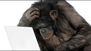 Random Chimp Event.