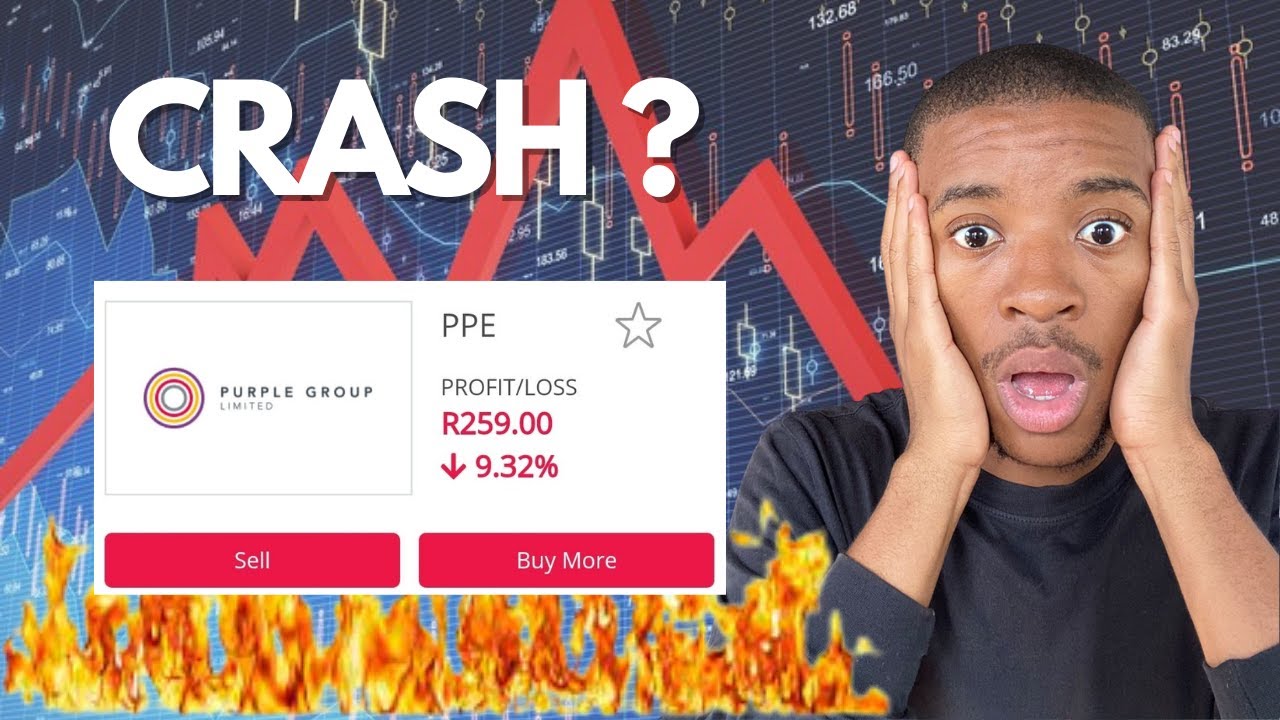 Purple Group Stock Crash? (Should You Buy or Sell?) jse easyequities purplegroup 