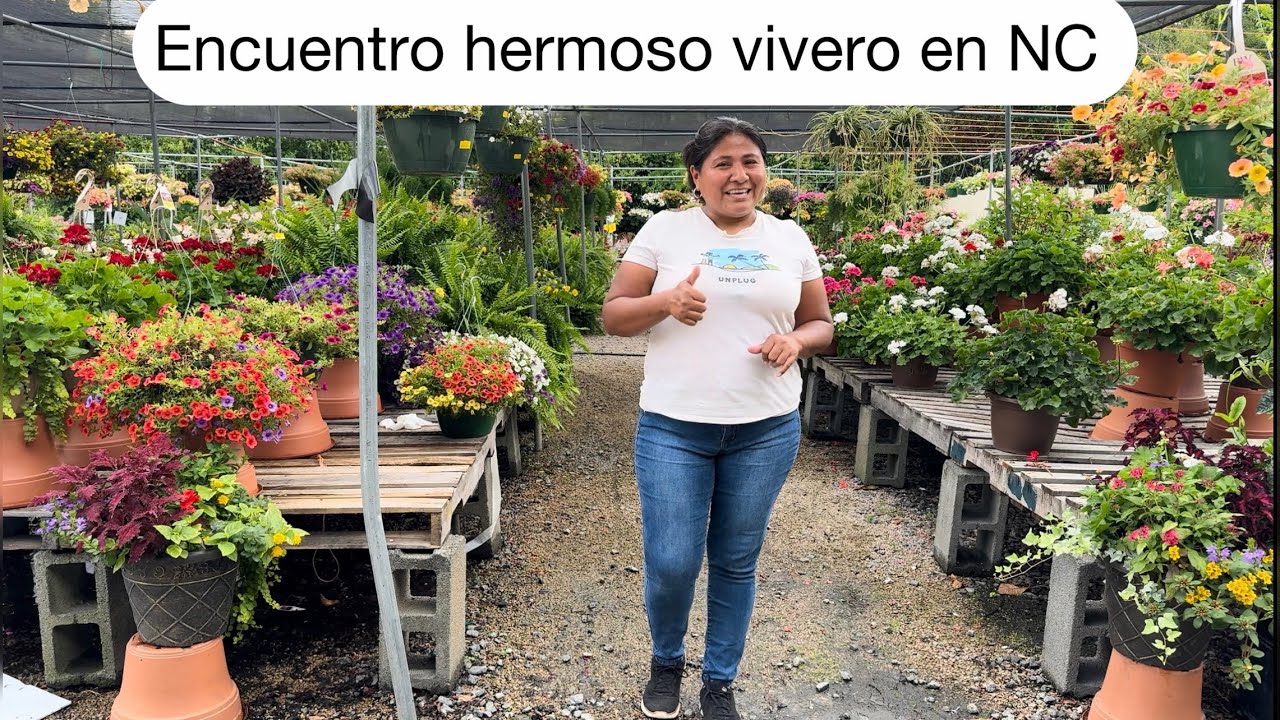ENCUENTRO VIVERO LLENO DE PLANTAS HERMOSAS Y CON MUCHAS FLORES En  NC