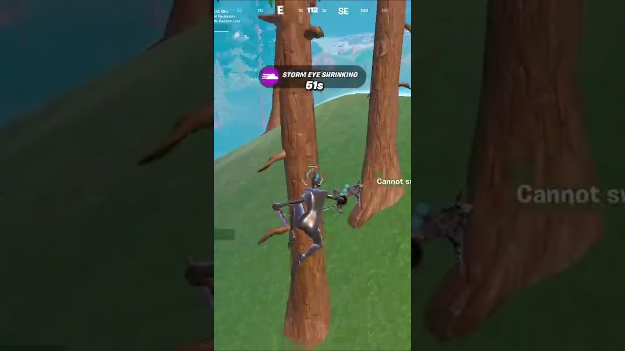I JUST GOT A FORTNITE WORLD RECORD?... #shorts  #fortnite