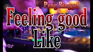 DJ FEELING GOOD REMIX FULL BASS TIKTOK 2020