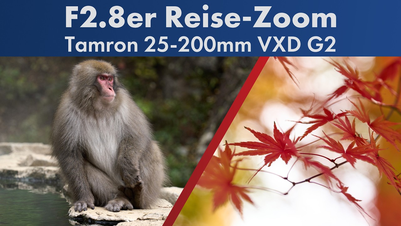 Tamron 25-200mm VXD G2 im Test (vs. Sigma 20-200mm) [Deutsch]