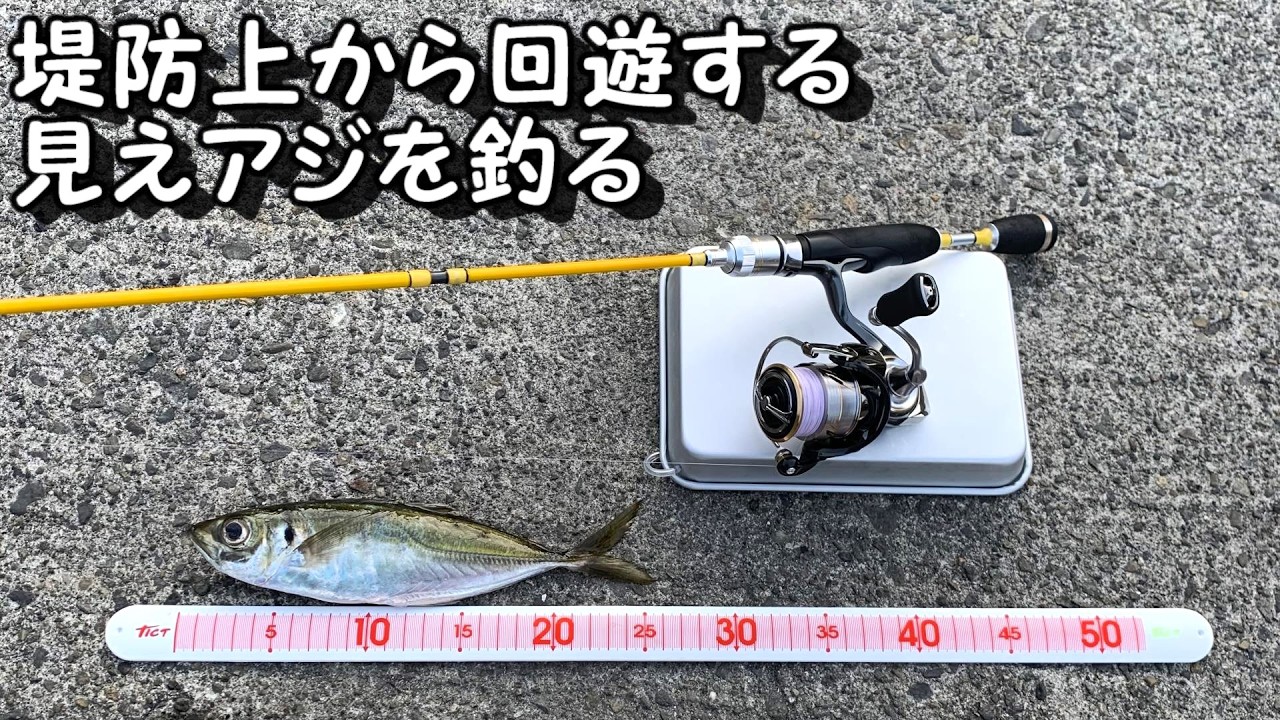 ナイトアジング　内湾でコマセバリアをすり抜けた厳しいアジを釣る