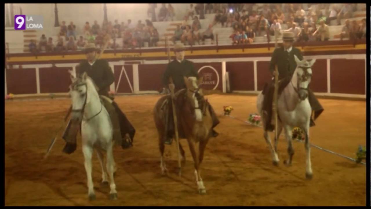 Feria de Sabiote 2016 · Espectáculo ecuestre
