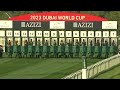 Dubai World Cup - 25/03/23 - Al Quoz Sprint sponsored by AZIZI Developments - Danyah