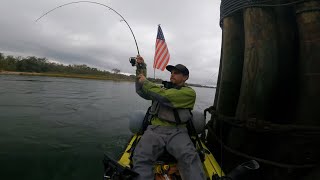 When the blackfish bite suddenly stops, get ready!  Tautog fishing in heavy structure