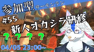 【参加型サーモンラン#55】新人シャケ達にこの社会の厳しさを理解らせる【Vtuber/陽田白】