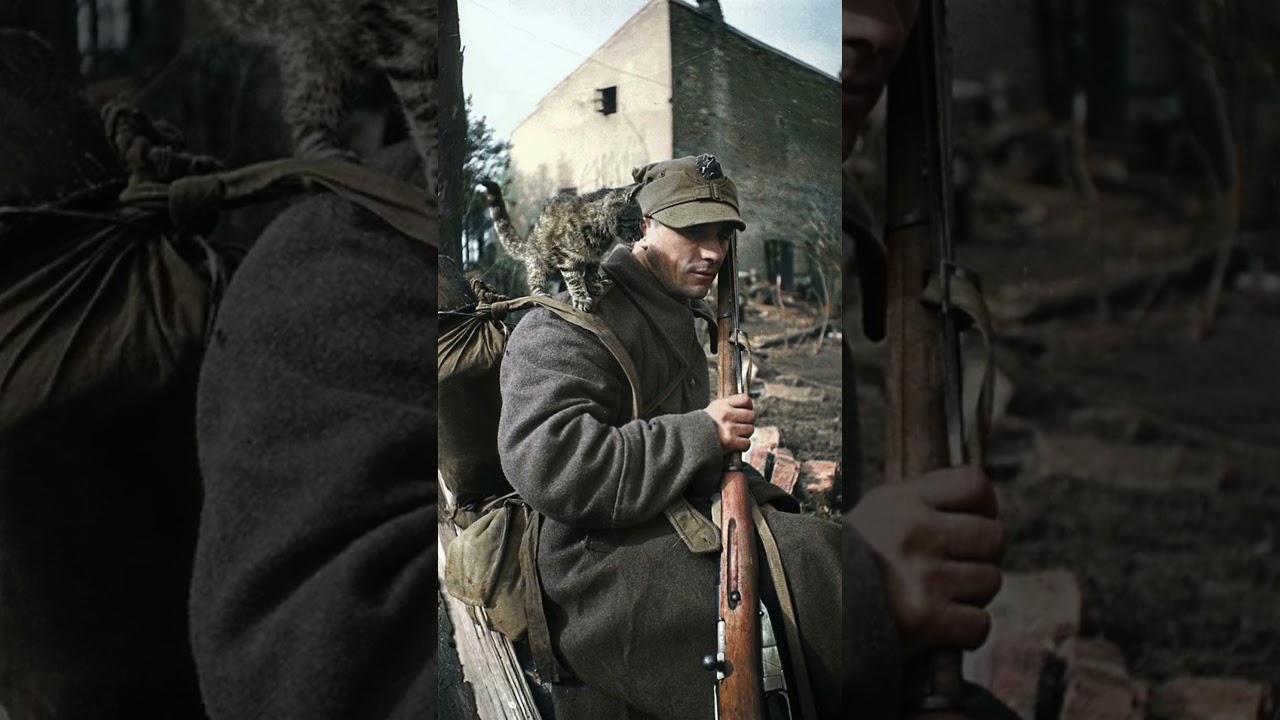 Polish Soldier with Feline Companion, 1944-1945